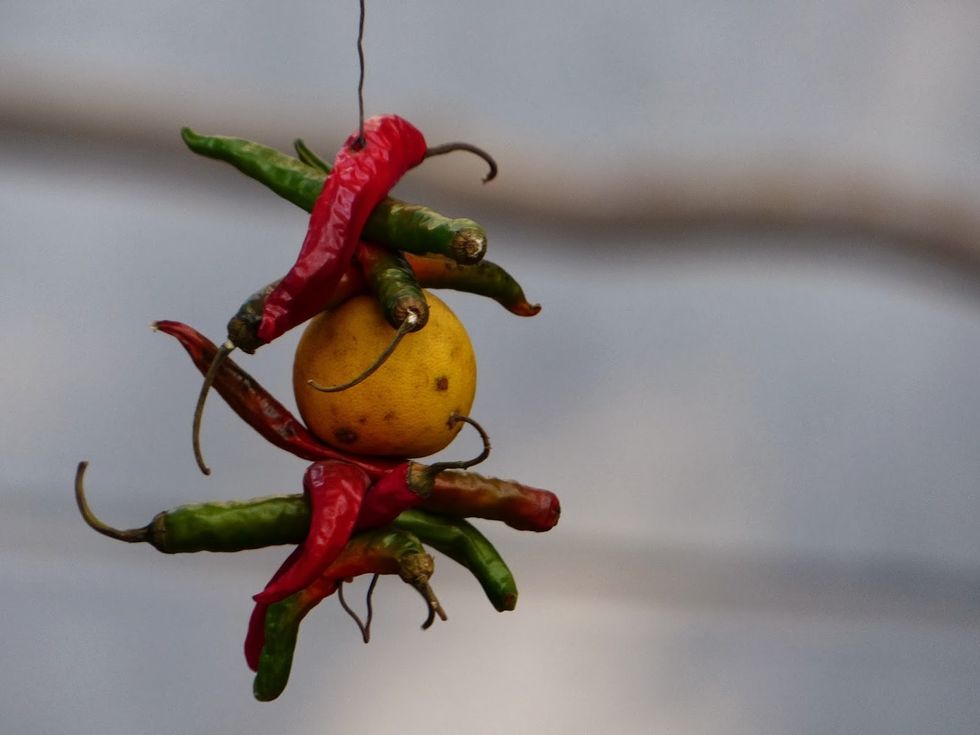 9chillies
