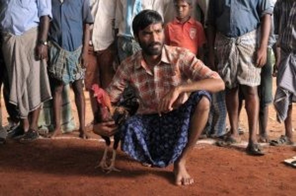 A Aadukalam  1