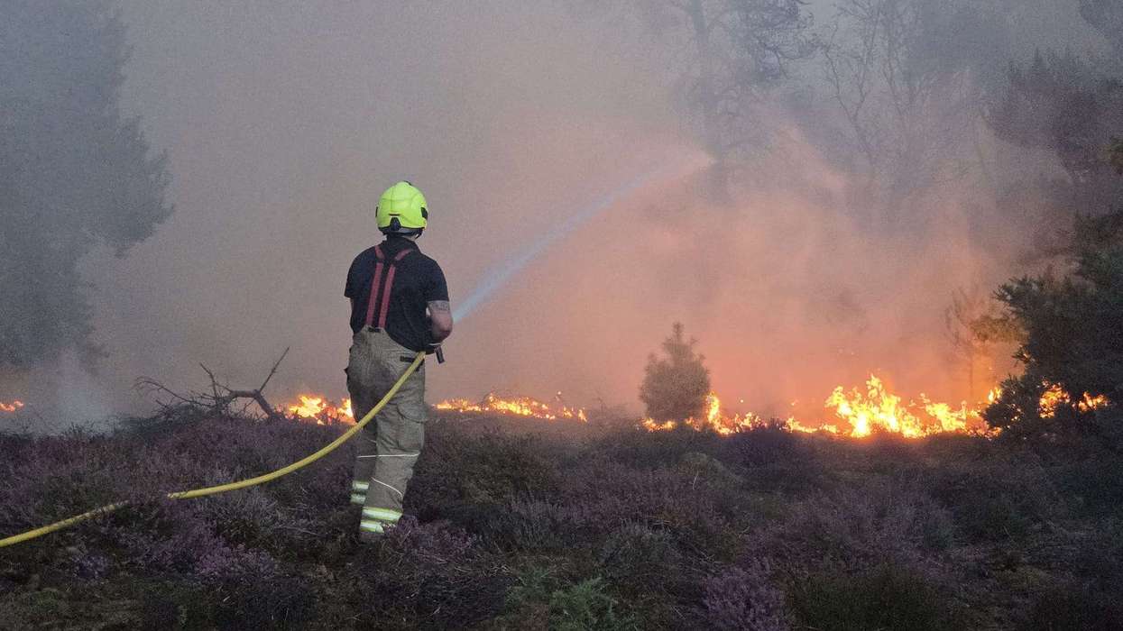 National Trust launches emergency appeal after wildfire destroys 220 football pitches of heathland