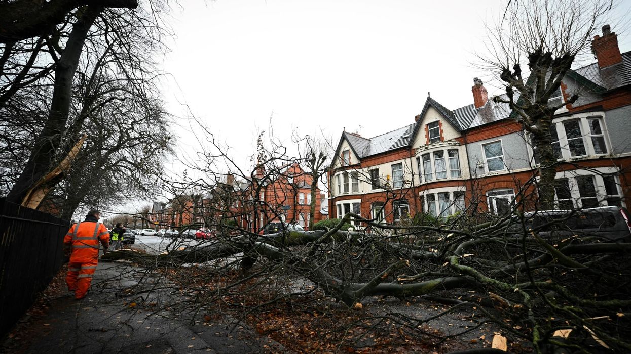 A photograph taken on December 7, 2024, shows fallen trees blocking and covering Greenbank road in Liverpool as storm Darragh brings winds of nearly 90 mph to the west of Wales and north-west England. (Photo: Getty Images)