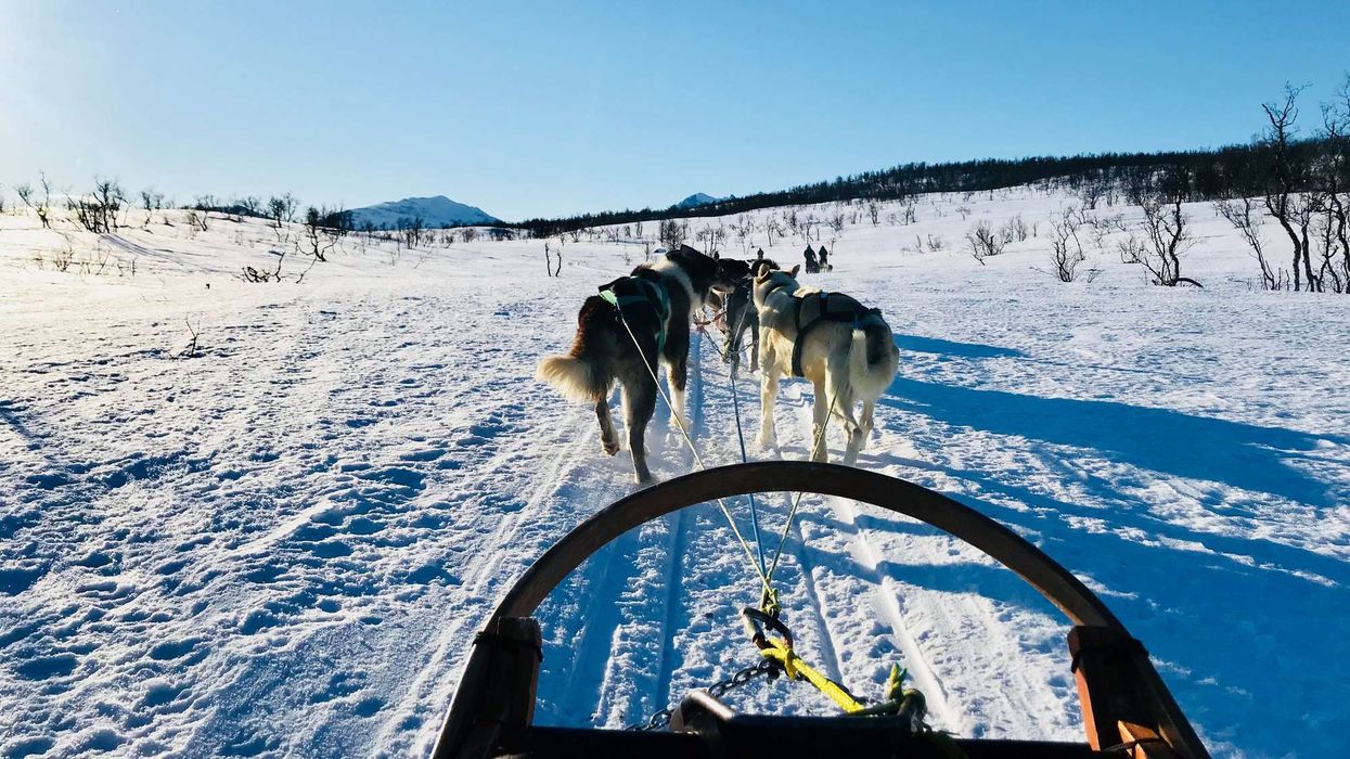 Arctic Circle Husky Park