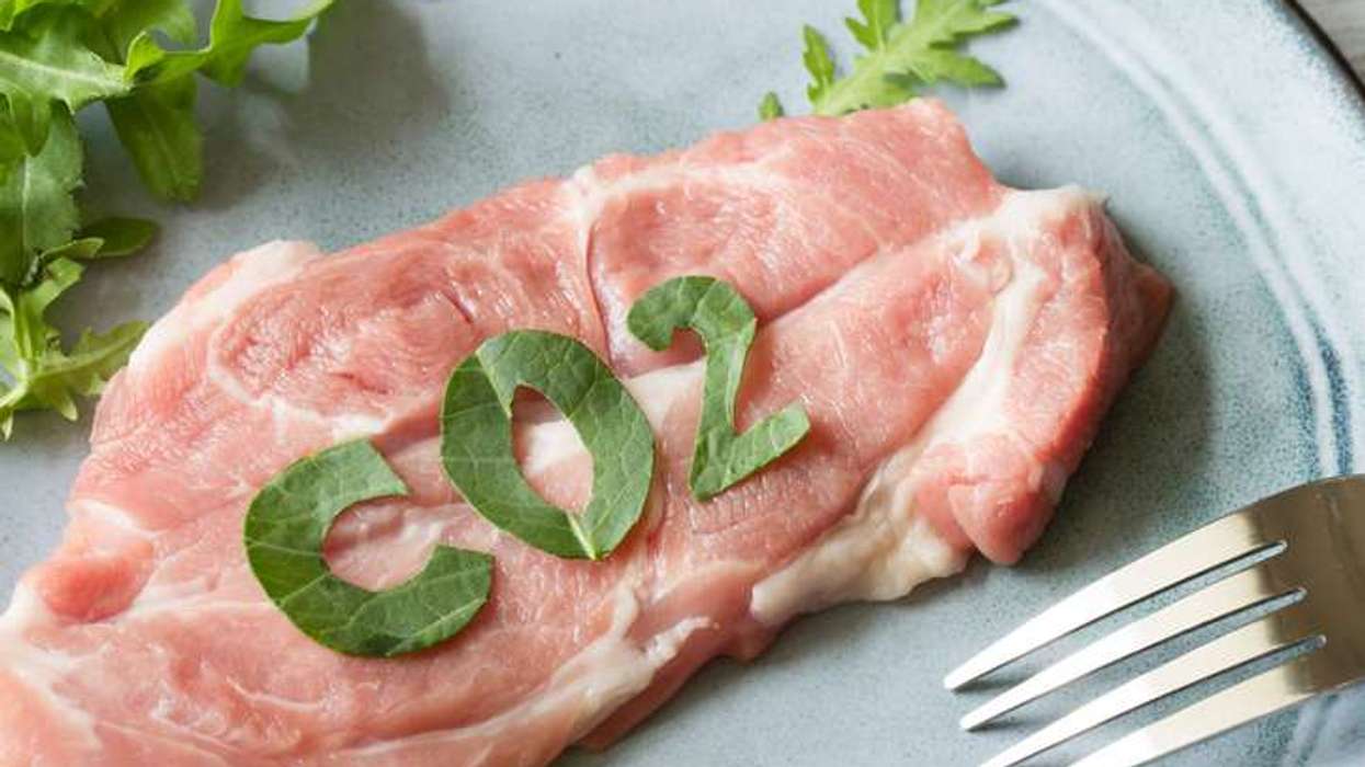 Dr Sailesh Rao: Meat and dairy are driving climate damage