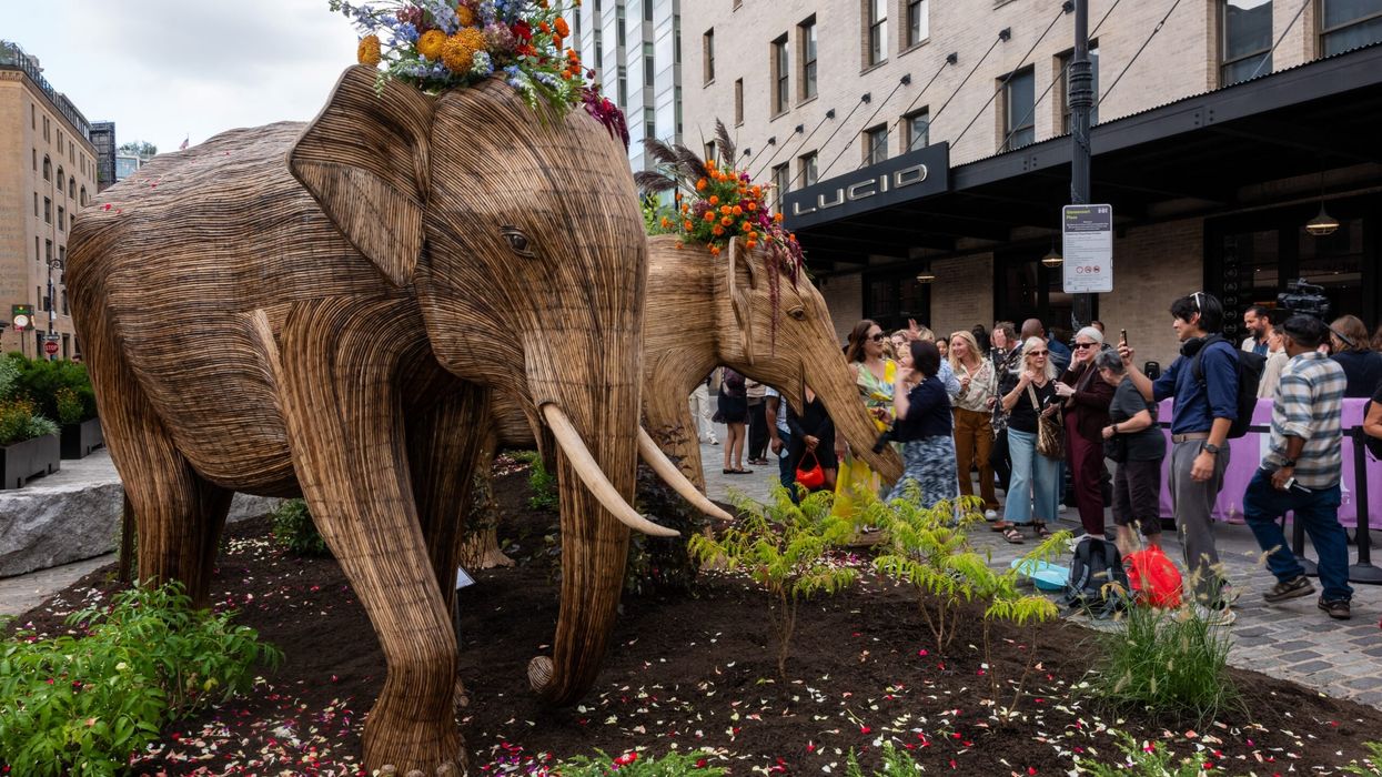 Life-sized elephant sculptures bring message of coexistence