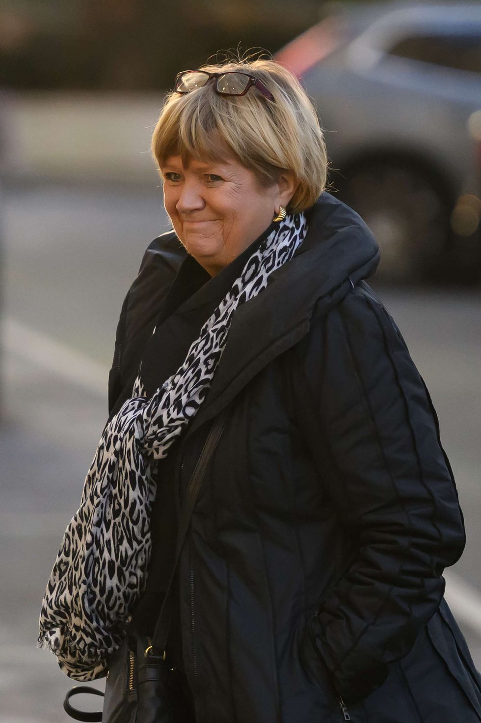 Baroness Heather Hallett