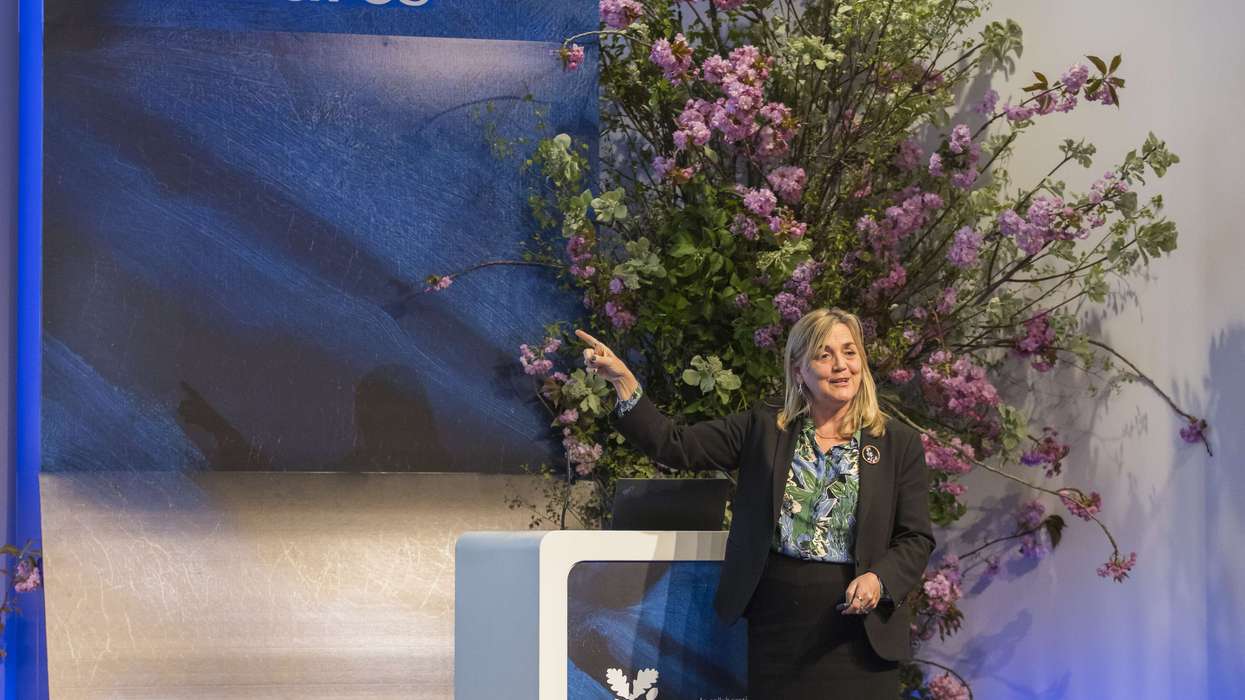 Nature’s healing power: How green spaces boost health