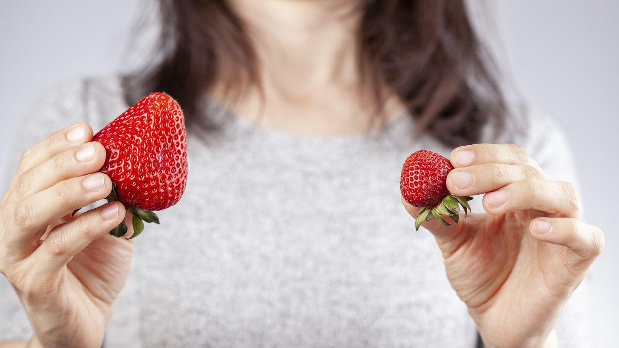 Big Strawberries, Dry Fields: UK Growers Sound the Alarm