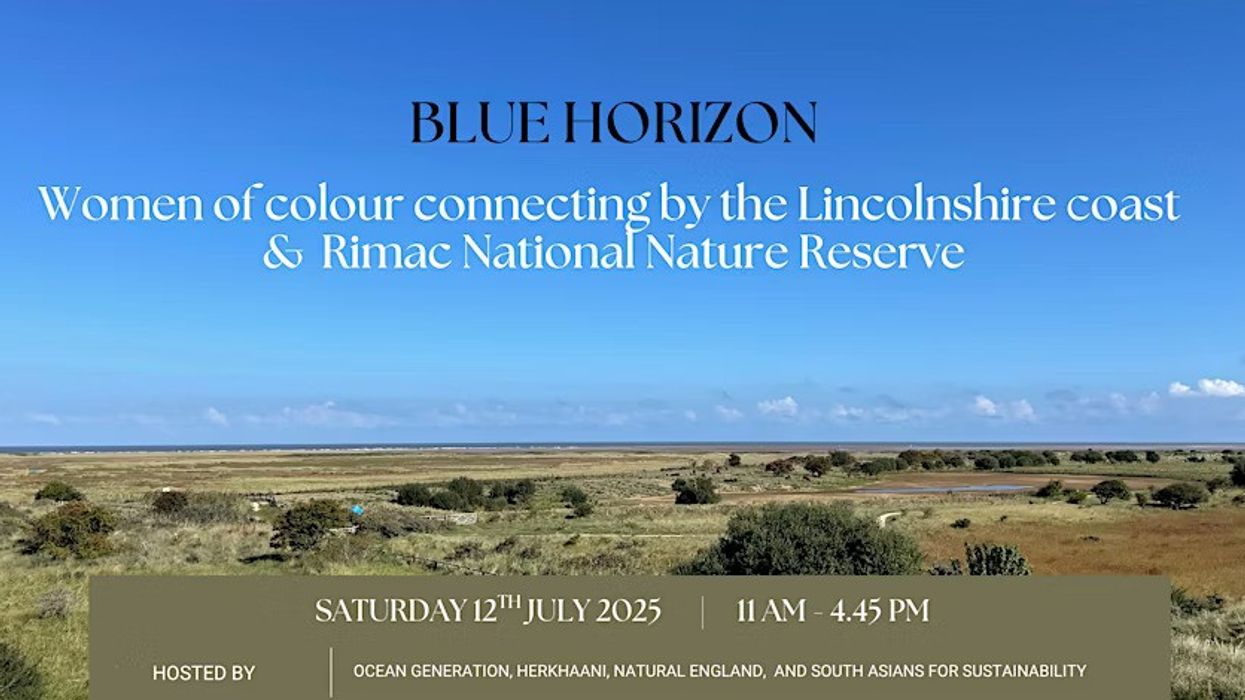 Blue Horizons