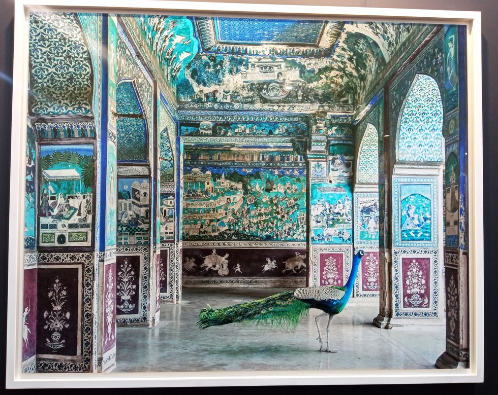 Capturing India: A Foreign Perspective Through the Lens