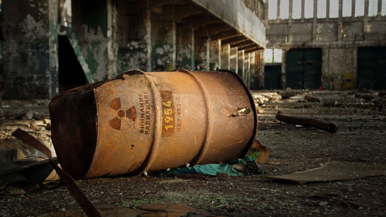 Chernobyl dark fungus
