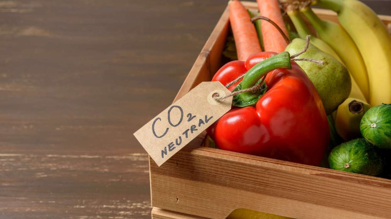 climate change and food