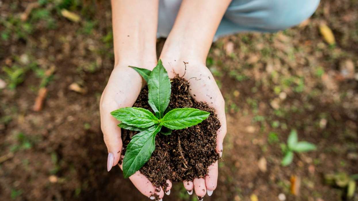 Ten everyday habits that can make your lifestyle more sustainable