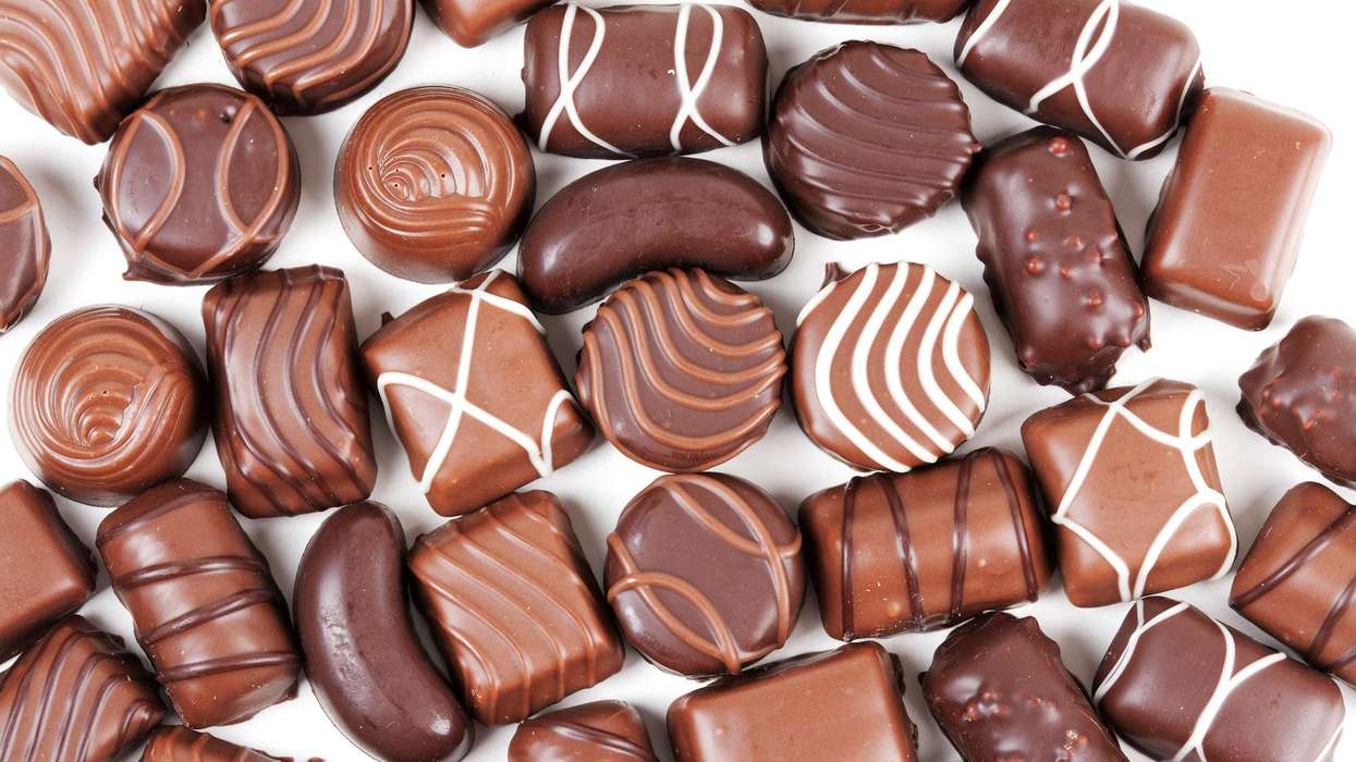 Marasu's Petit Fours enters administration as cocoa crisis hits chocolate market