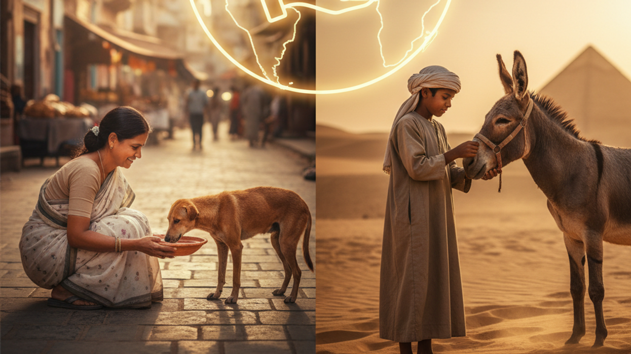 Compassion in Action: Guardians of the Voiceless