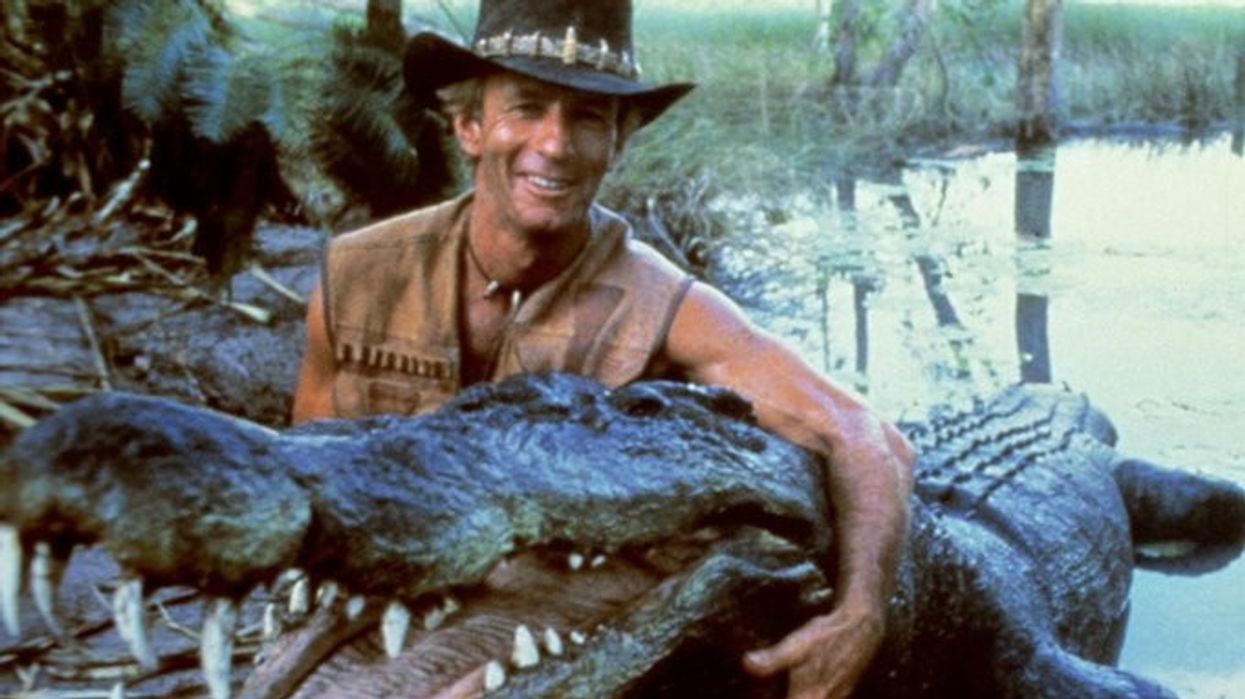 Crocodile Burt
