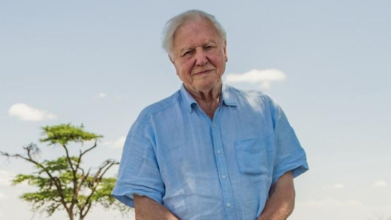 David Attenborough