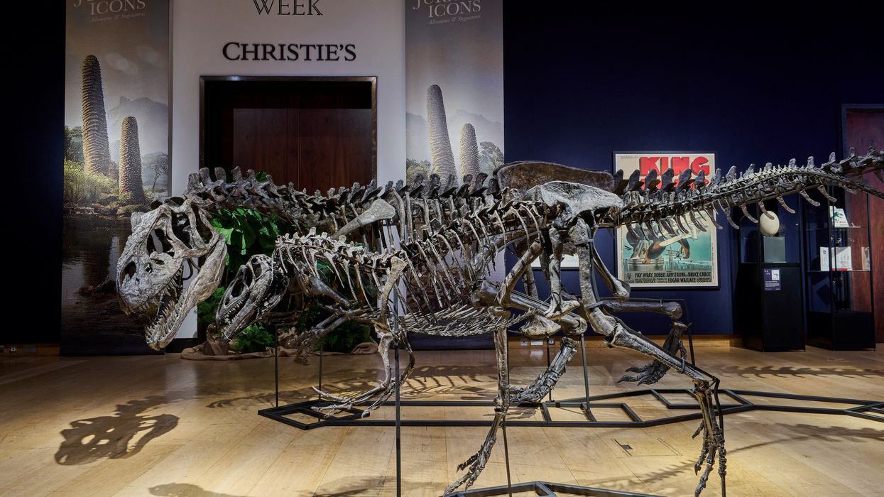 Ancient dinosaur track site found in UK quarry