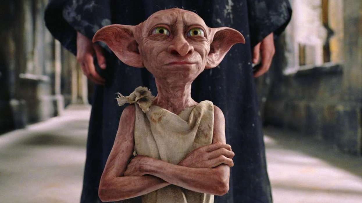 Harry Potter effect: Dobby fans help divert £430m UK-Ireland power link
