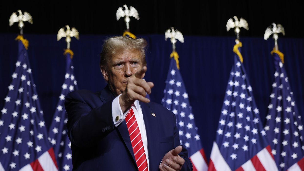 Trump democracy  ‘is work in progress’