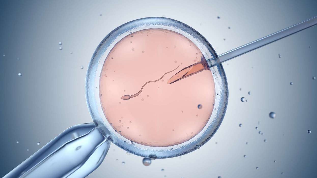 Why some British Asian couples are travelling to India for IVF