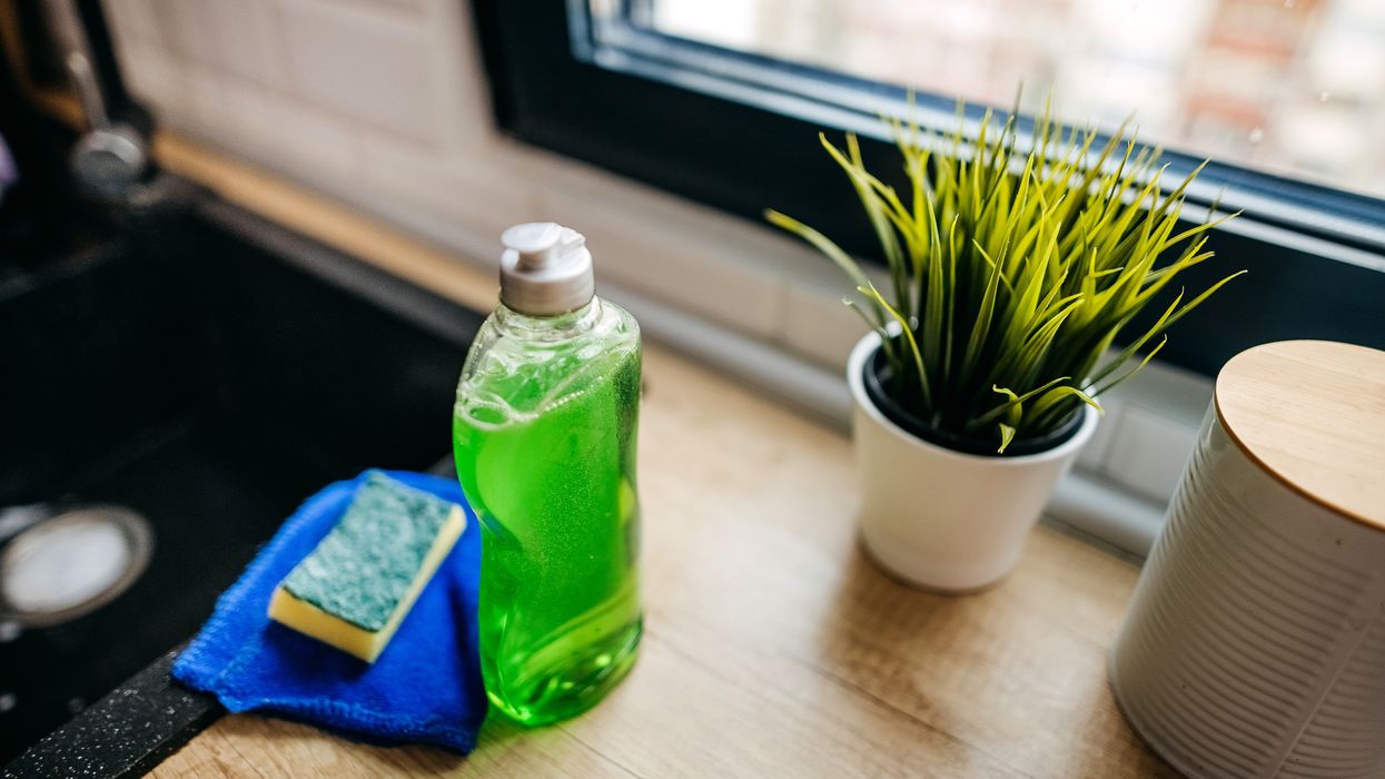 Fairy liquid warning issued UK households urged to rethink use