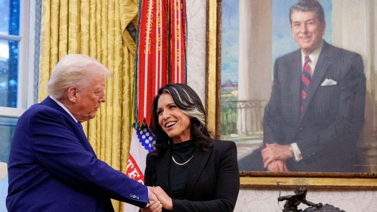gabbard-trump-impeachment