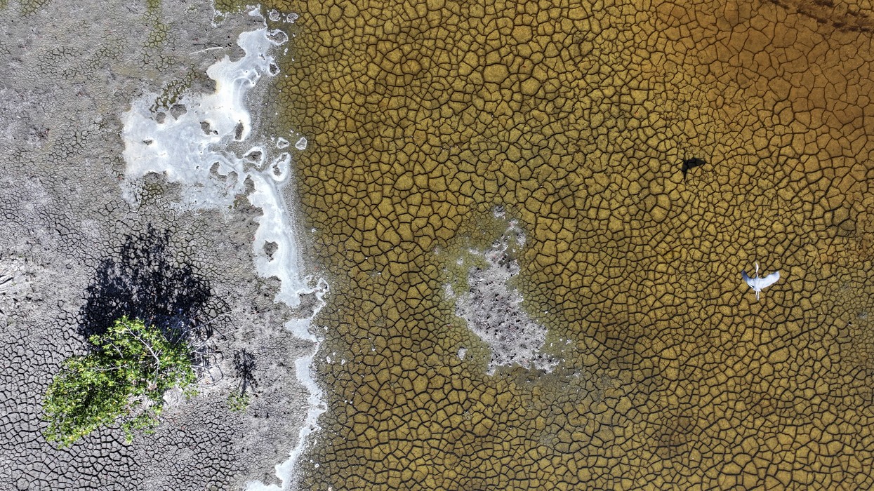 Global Temperatures May Hit Record High in Next 5 Years | EasternEye