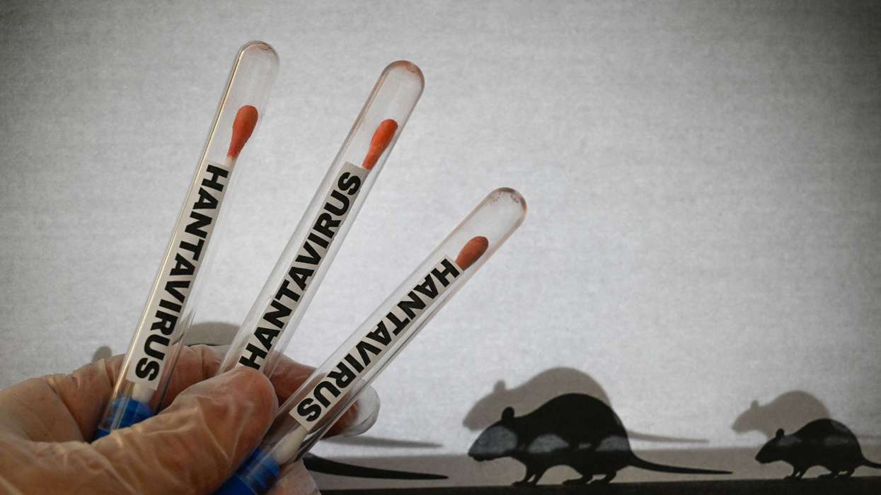 Hantavirus