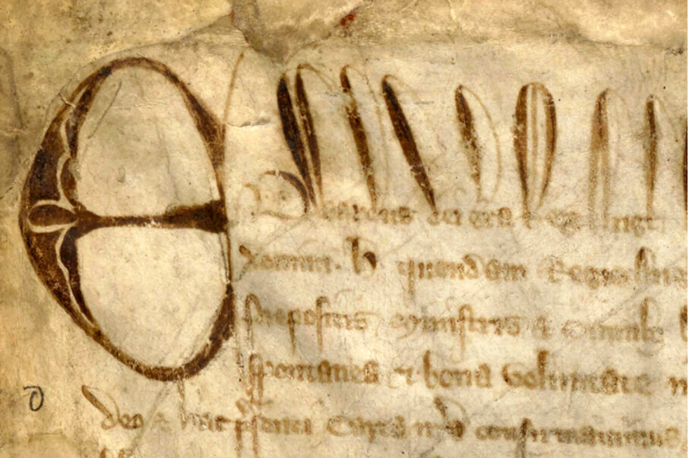 Harvard's copy of Magna carta