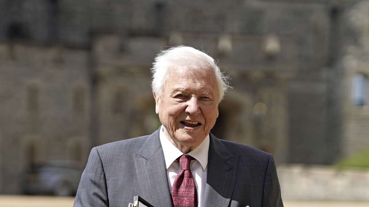 David Attenborough at '100' and the quiet power that made audiences listen