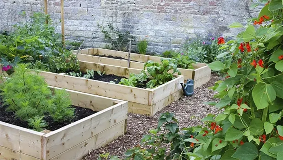 how to start a substainable garden