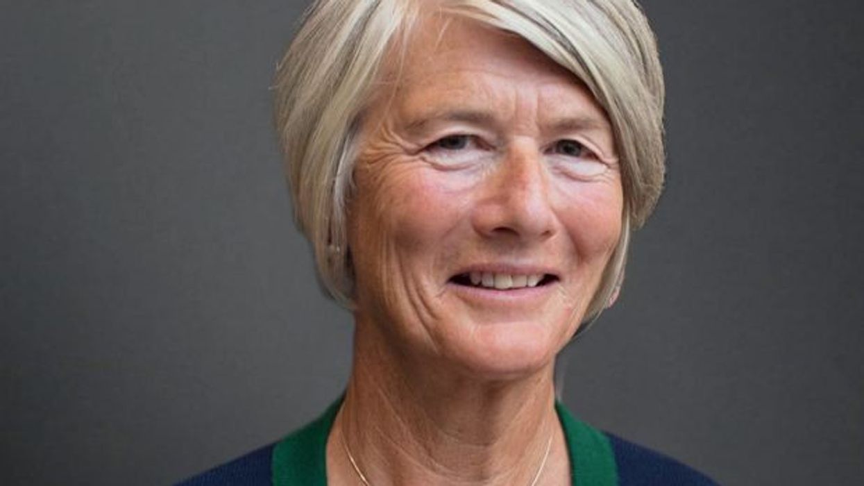 Issa brothers appoint Dame Alison Carnwath as audit committee chair