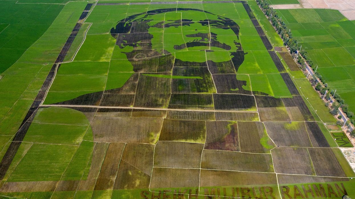 Bangladesh pair punished for not serving cake on Sheikh Mujibur Rahman's birthday