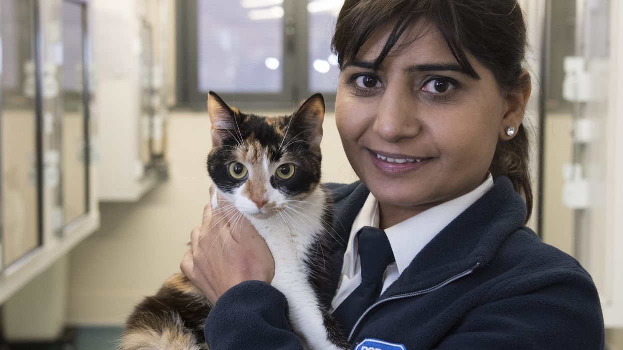 How history-making hero Herchy Boal saved animals