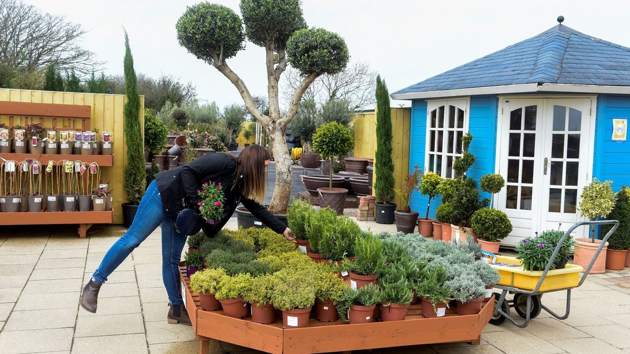 'Stay local' rule ends as Wales lifts travel ban