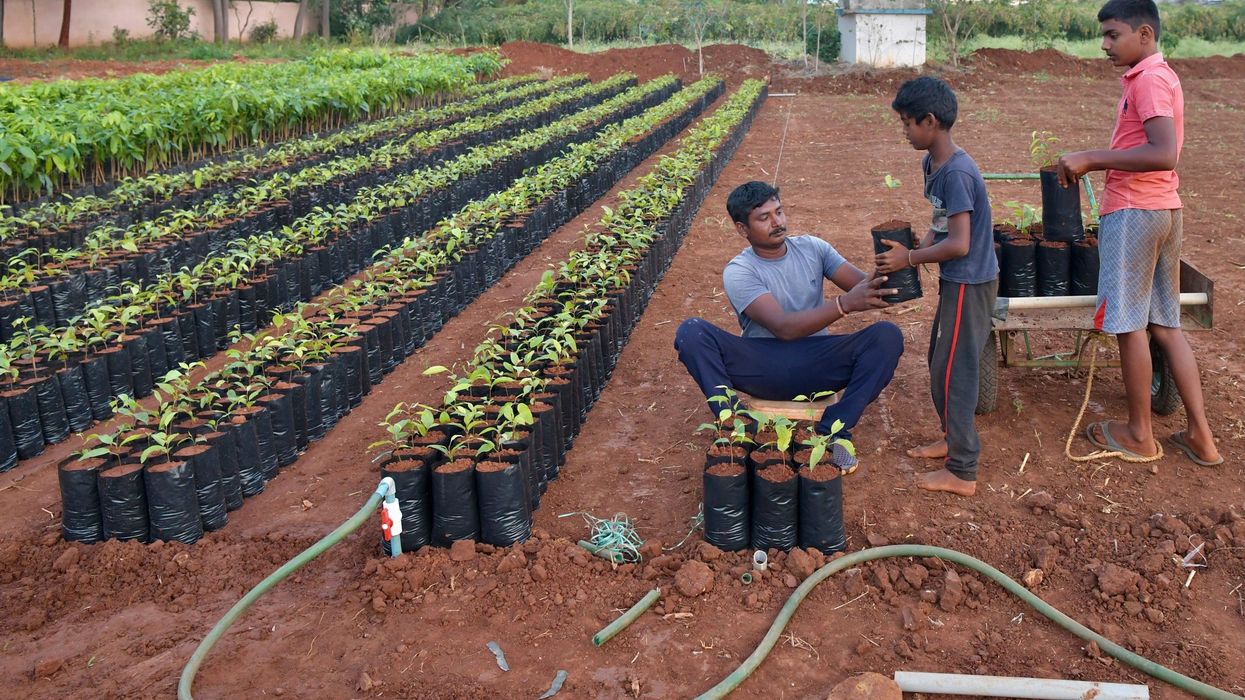 India's digital IDs for land could exclude poor, indigenous communities