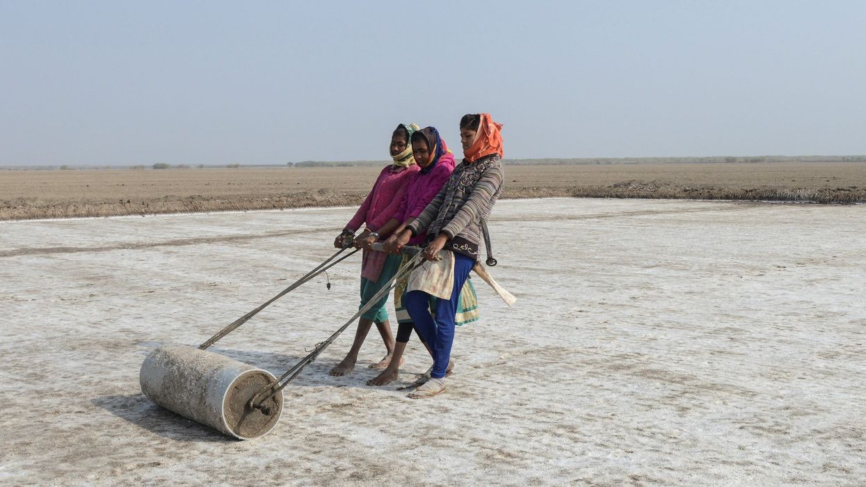India's desert salt farmers feel the heat from climate change