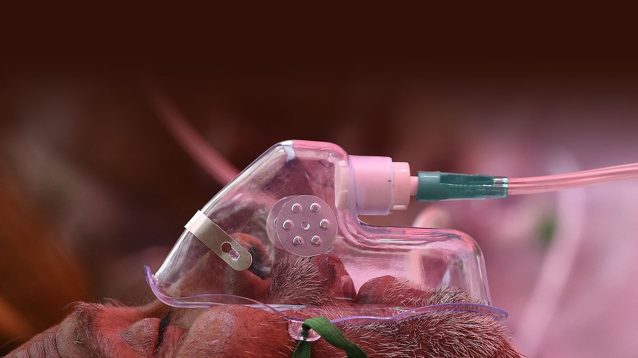 India braces for more Covid deaths