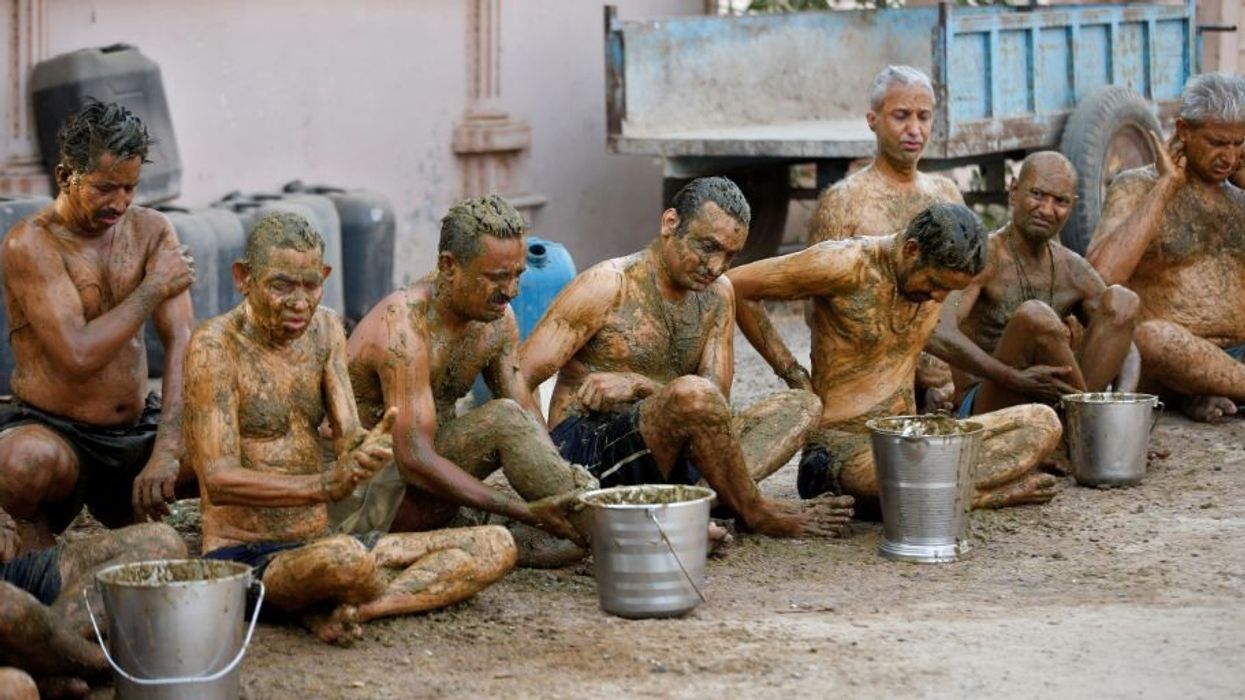 Doctors warn against using cow dung to ward off Covid-19