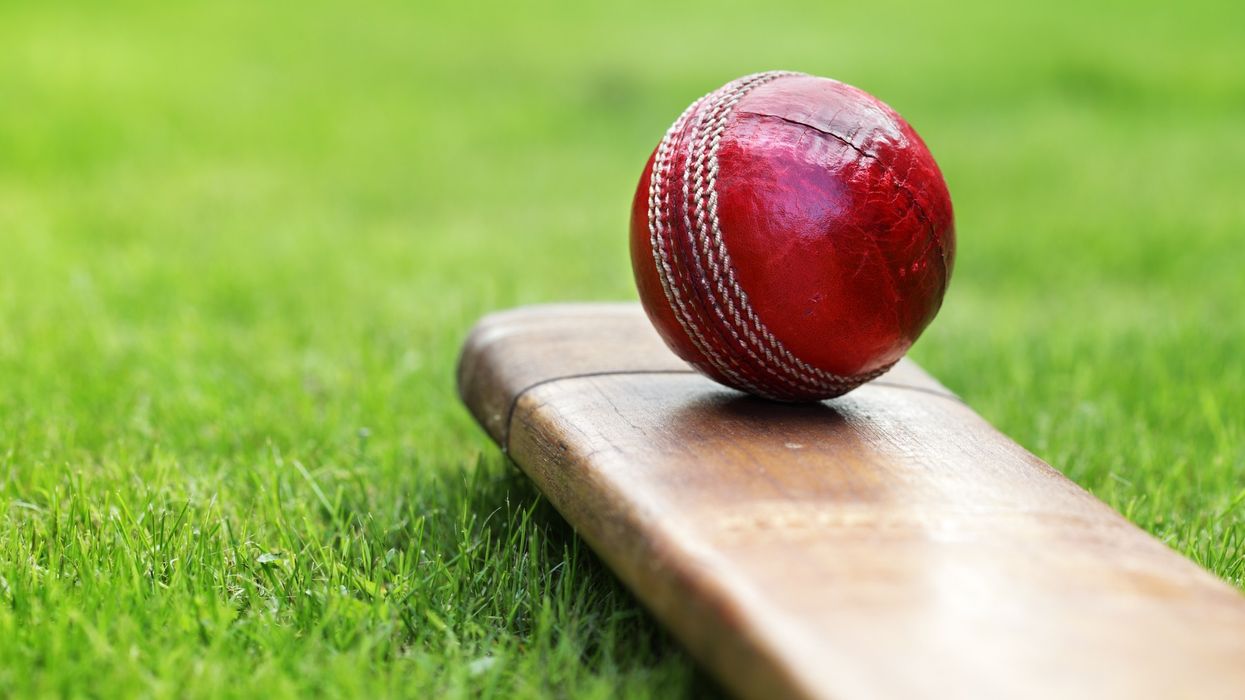 Marylebone Cricket Club rejects bamboo bats, says it will be illegal