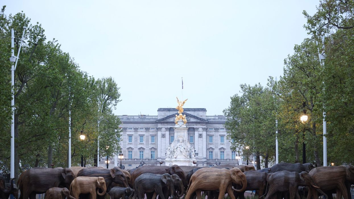 India-made life-sized model elephants on display in London