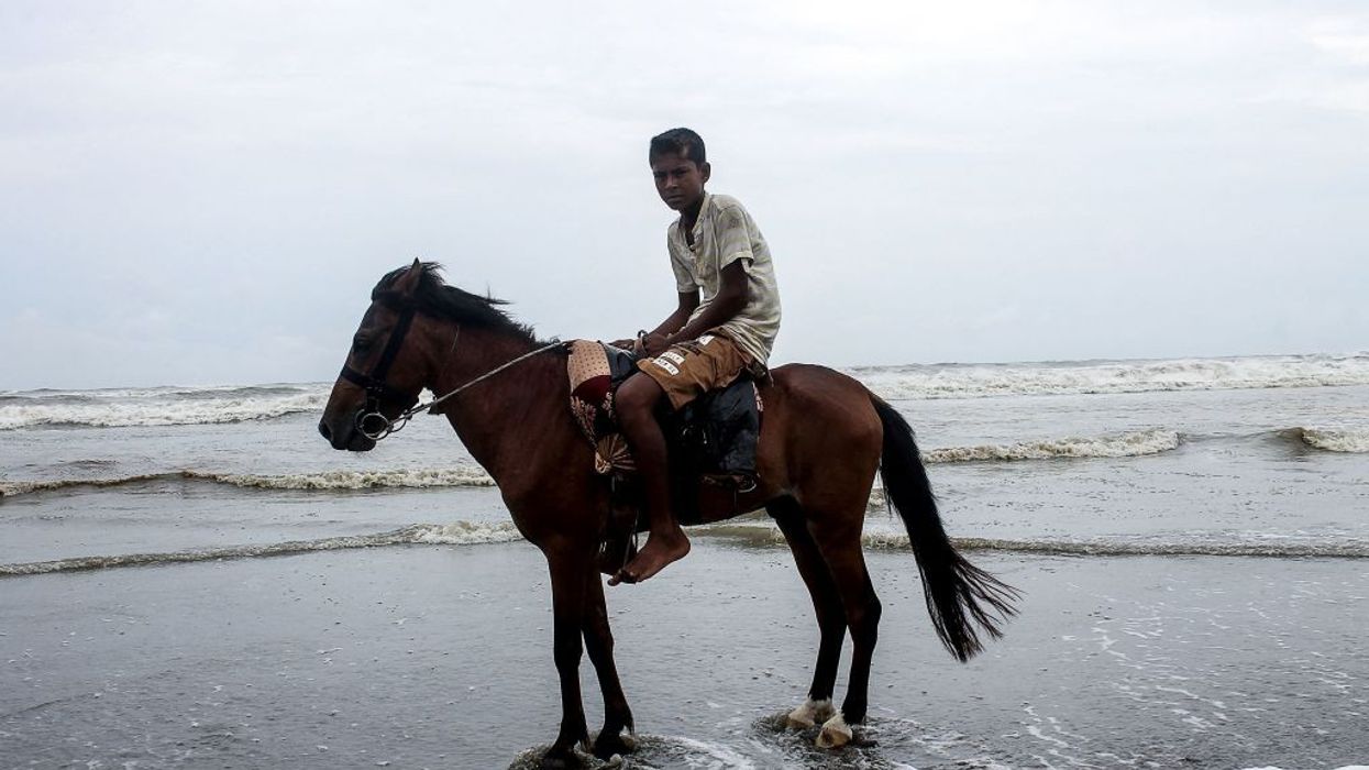 More horses die as Bangladesh tourist town reels from Covid closures