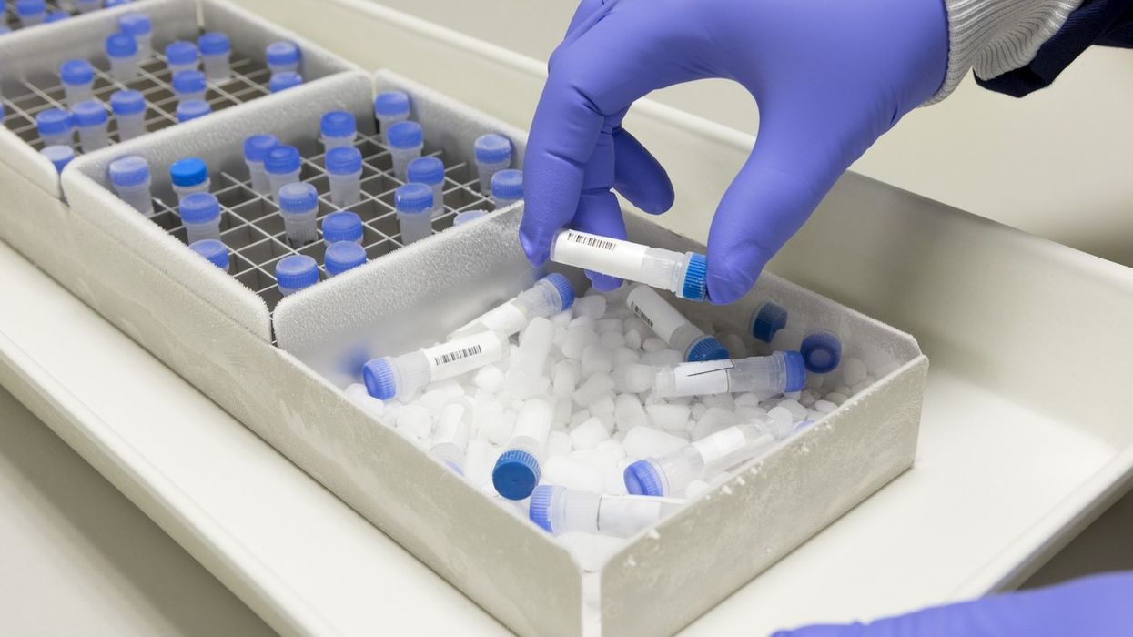 Indian companies to start clinical trial for Merck & Co's Covid-19 drug