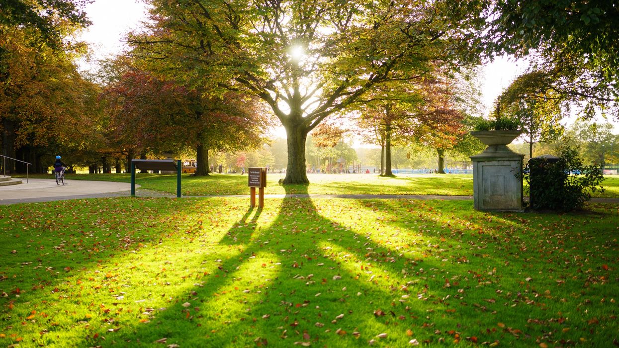 Memorial Tree for Indian war hero in Coventry