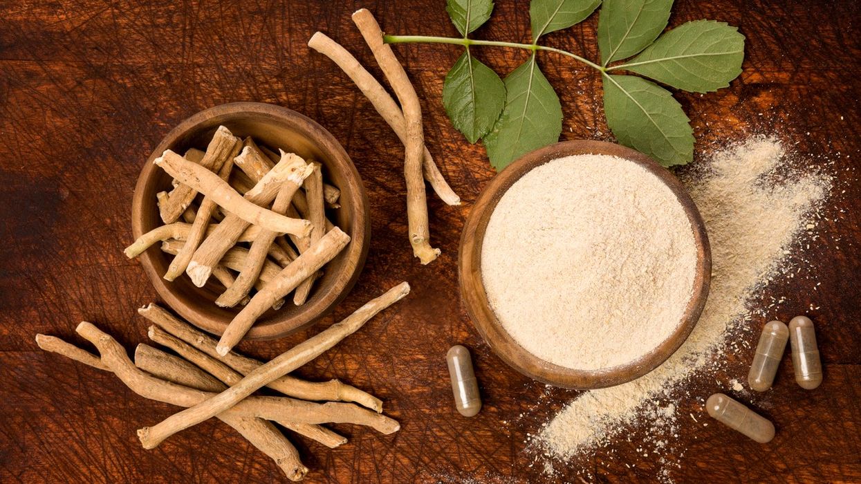 India, UK to study efficacy of Ashwagandha on Covid patients