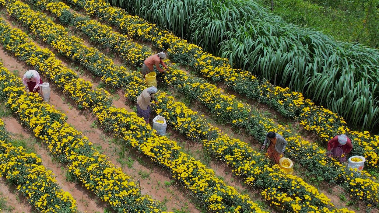 India needs £72 bn FDI annually to become £3.6tn economy, says Aghi