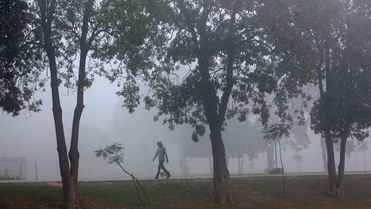 Pakistan seeks to bring fresh air to polluted cities with 10 billion trees