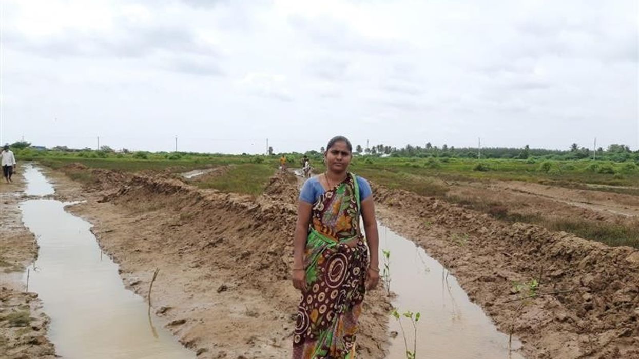 India's rural work scheme plots green jobs to fight climate change