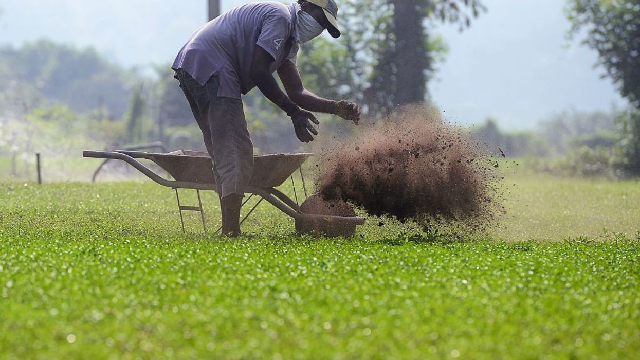Sri Lanka stops 'tainted' fertiliser import from China