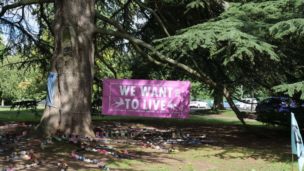 Britain to apply corporate sustainability disclosure standards