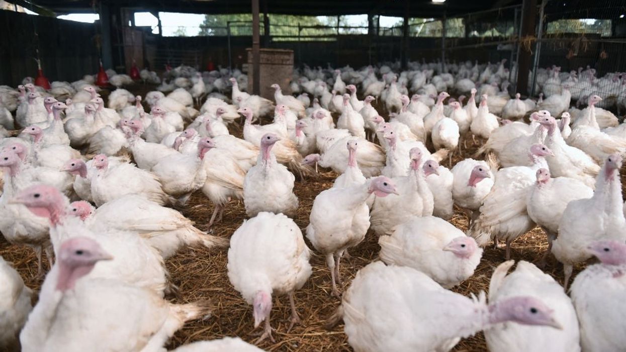 Britain’s 20-year binge on cheap food is over: Boparan